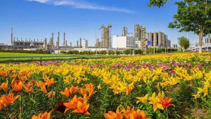 分散剂选购：把握标准，确保性能**