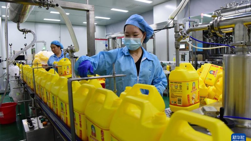 PE色母粒与PP色母粒：性能与用途的差异解析